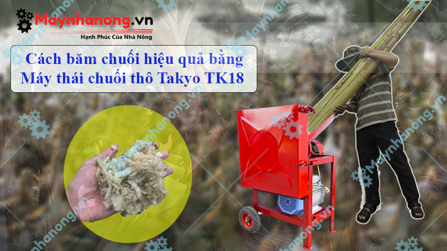 Cách băm chuối hiệu quả bằng máy thái chuối thô Takyo TK18