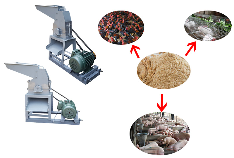 Nghiền bột khô sử dụng trong chăn nuôi