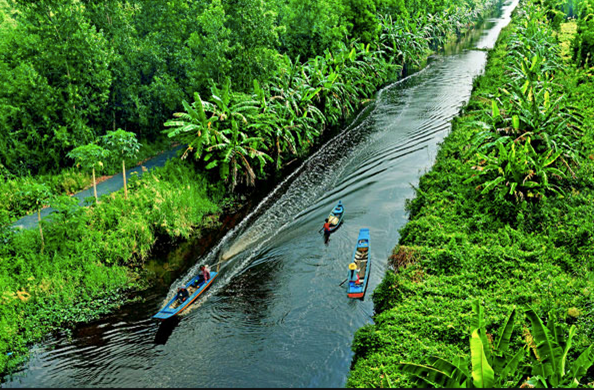 Hình ảnh sông nước Cà Mau