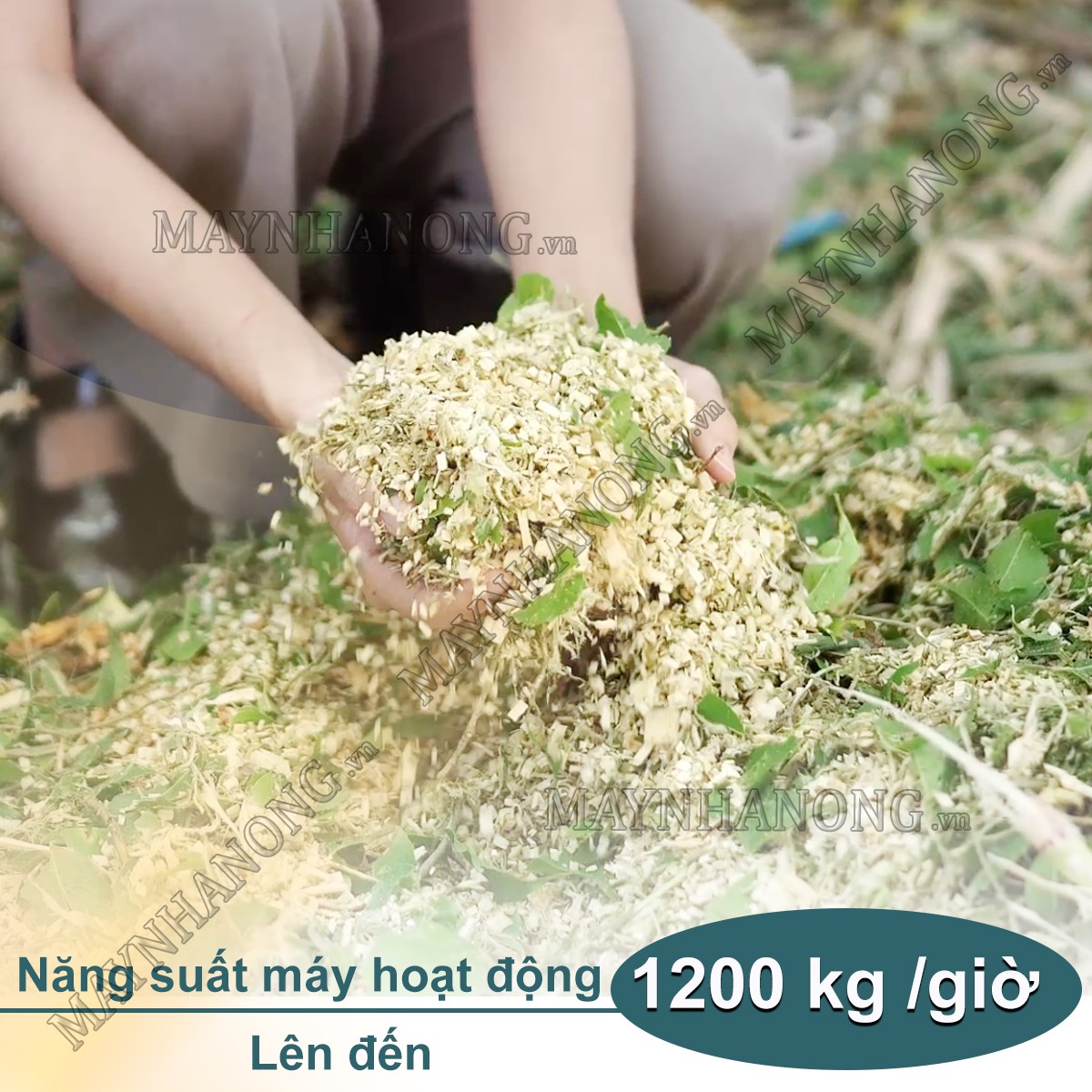 Năng suất hoạt động của máy băm cành cây Takyo TK 65