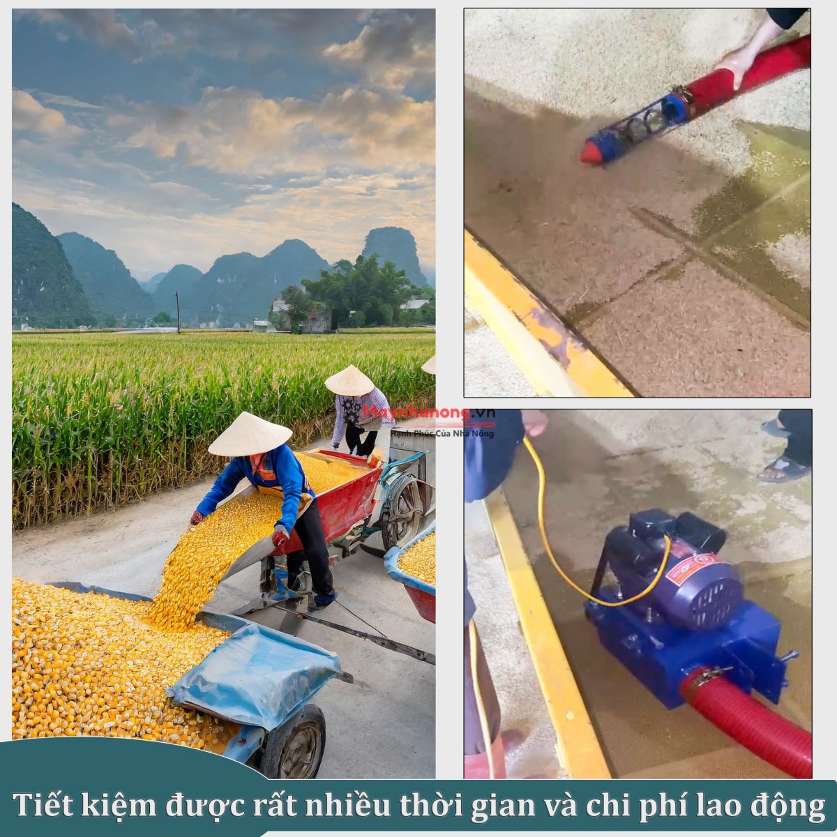 Sử dụng máy giúp tiết kiệm được rất nhiều chi phí lao động và thời gian làm việc