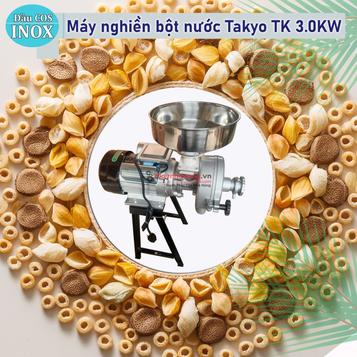 Máy nghiền bột nước cos inox Takyo TK -3.0 KW