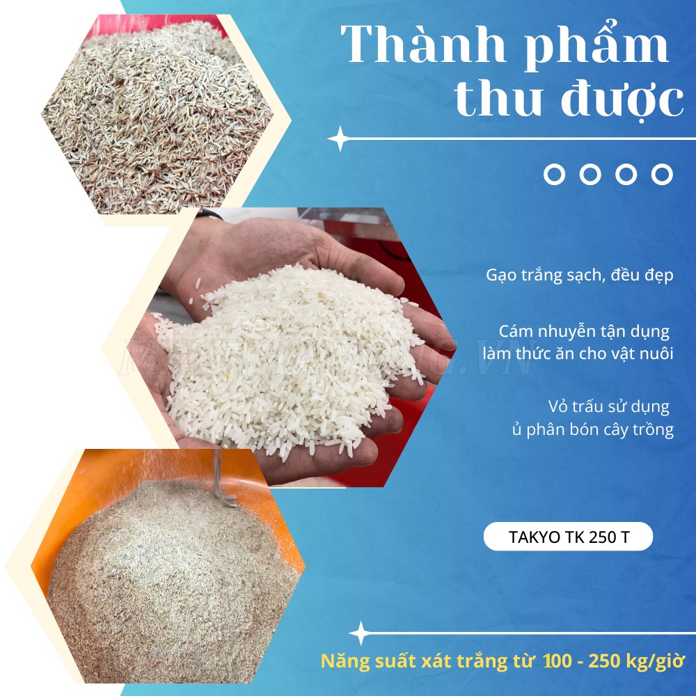  Các loại gạo thu được sau khi sử dụng máy xay xát gạo Takyo TK 250 T​