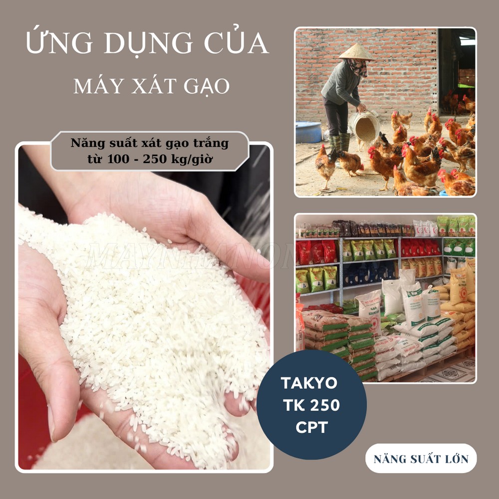 Ứng dụng đa dạng của máy xát gạo liên hoàn Takyo TK 250 CPT