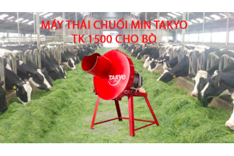 Máy thái chuối mịn TAKYO TK 1500 giúp cho bà con tăng hiệu quả kinh tế khi chăn nuôi bò.